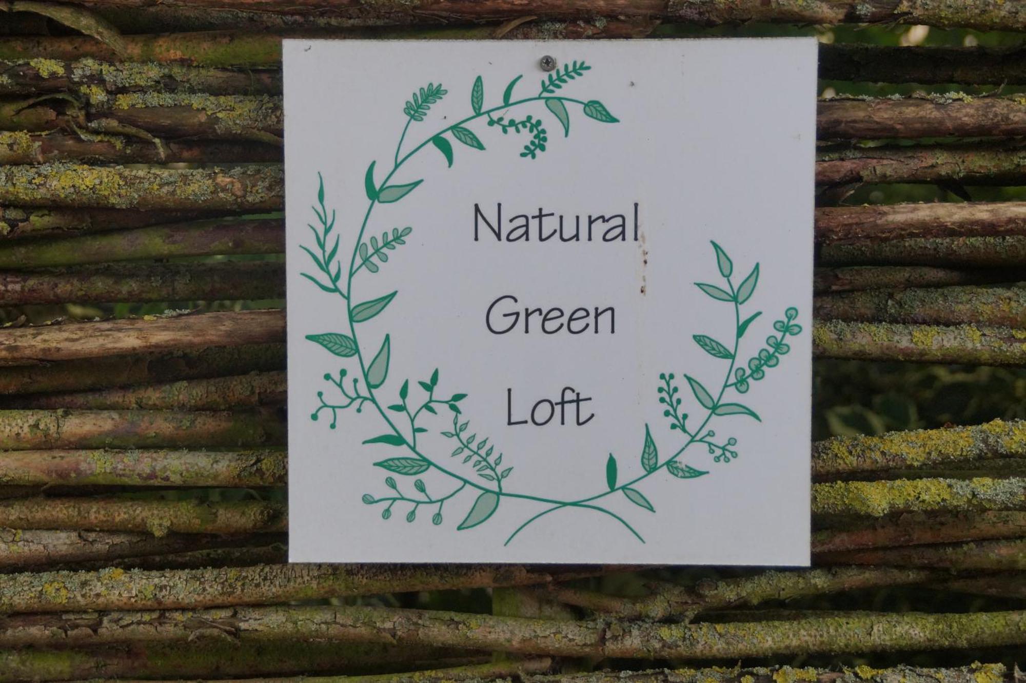 Natural Green Loft Bergen Luaran gambar